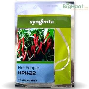 HPH-22 CHILLI