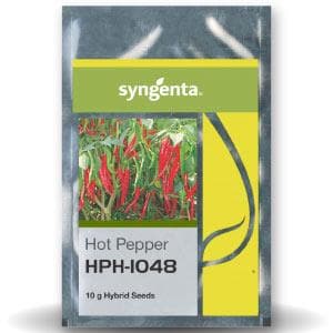 HPH 1048 CHILLI