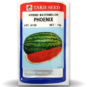 PHOENIX F1 WATERMELON