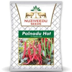 PALNADU HOT CHILLI