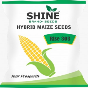 RISE AGRO RISE-303 SHINE HYBRID MAIZE SEEDS