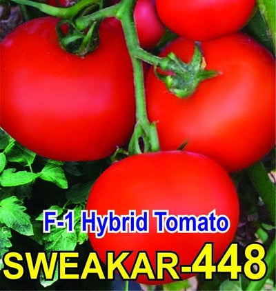 PHS SWEAKAR 448 TOMATO ( 448 टमाटर )