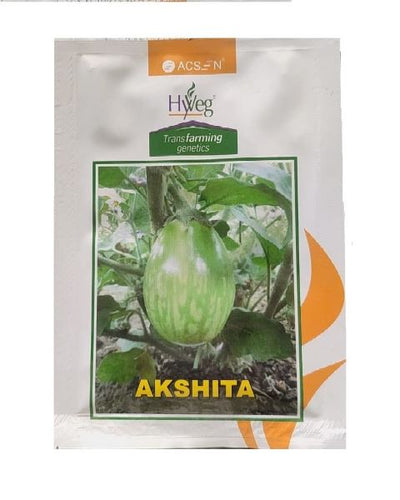 Hyveg Akshita Hybrid Brinjal seeds