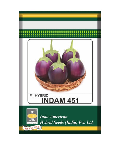 Indam 451 Brinjal Seeds