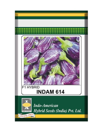 Indam 614 Brinjal Seeds