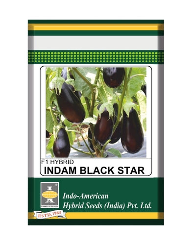 Indam Black Star Brinjal Seeds