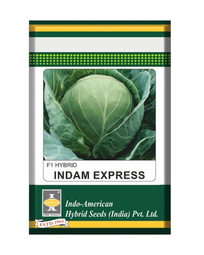 Indam Express Cabbage Seeds