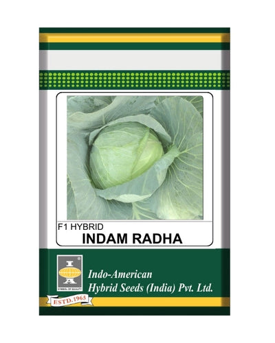 Indam Radha Cabbage Seeds