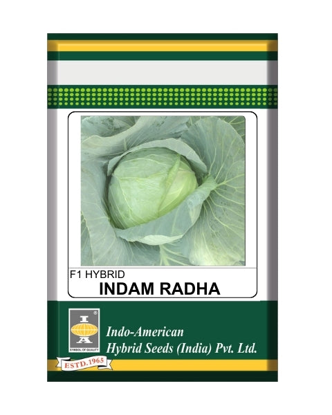 Indam Radha Cabbage Seeds