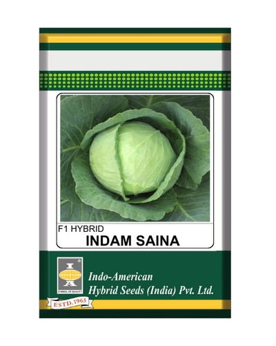 Indam Saina Cabbage Seeds