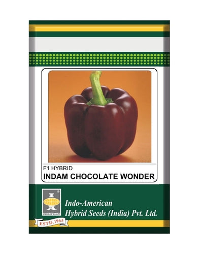 Indam Chocolate Wonder Capsicum Seeds