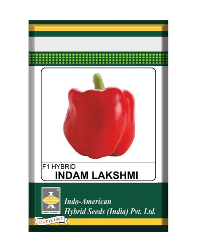 Indam Lakshmi Capsicum Seeds