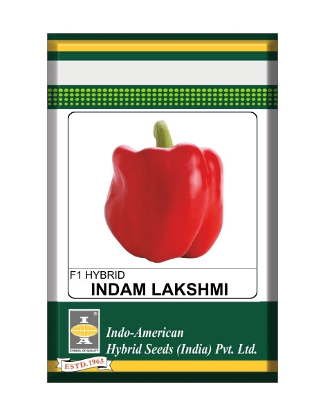 Indam Lakshmi Capsicum Seeds