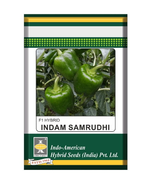 Indam Samrudhi Capsicum Seeds