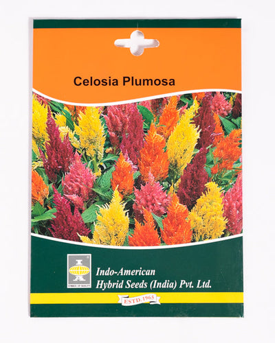 IAHS CELOSIA ICECREAM MIX