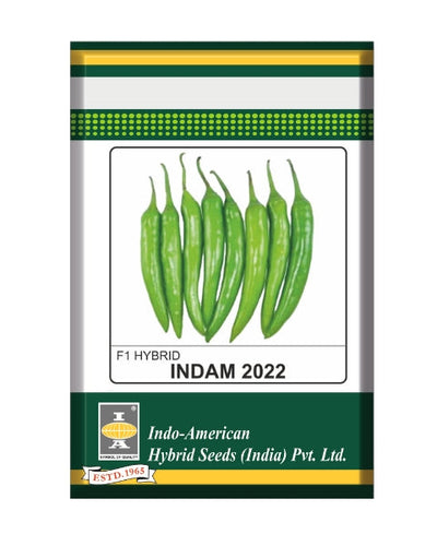 Indam 2022 Chilli Seeds