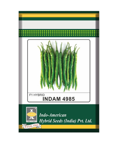 Indam 4985 Chilli Seeds