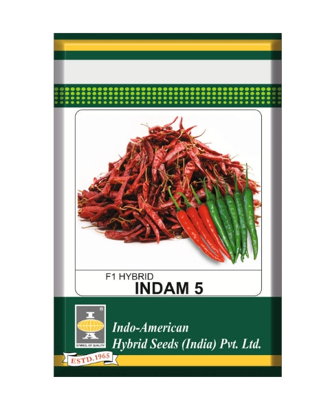 Indam 5 Chilli Seeds