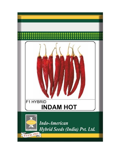 Indam Hot Star Chilli Seeds