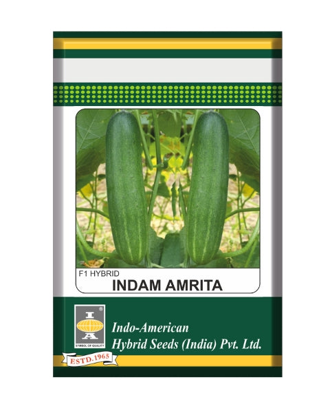 Indam Amritha Cucumber Seeds