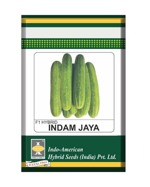 Indam Jaya Cucumber Seeds