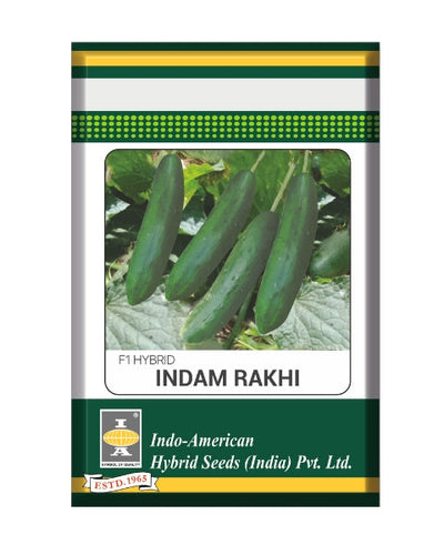 Indam Rakhi Cucumber Seeds