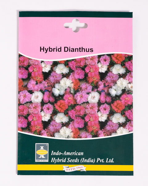 IAHS DIANTHUS DYNASTY MIX