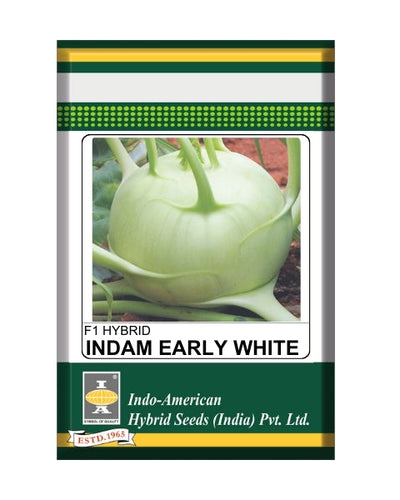 Indam Early White Knol Khol Seeds