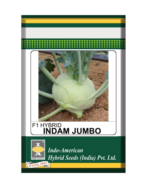 Indam Khol Jumbo Knol Seeds