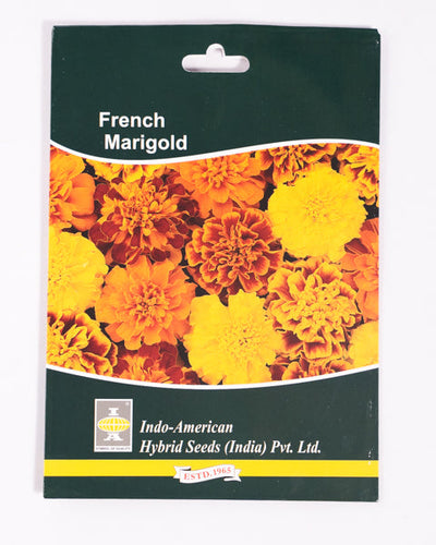 IAHS MARIGOLD BONANZA MIX