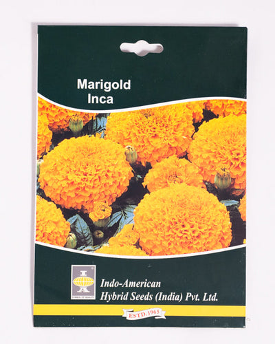 IAHS MARIGOLD INCA ORANGE