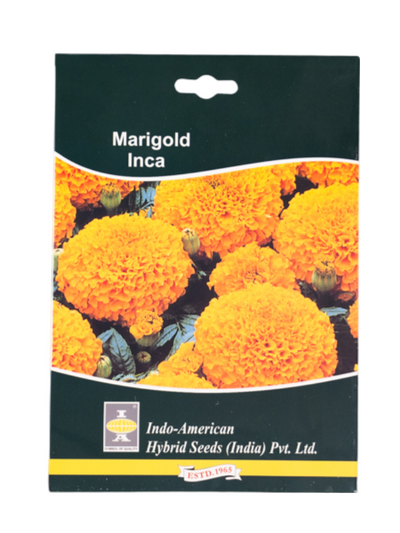IAHS MARIGOLD MARVEL GOLD