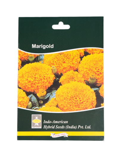IAHS MARIGOLD MARVEL ORANGE