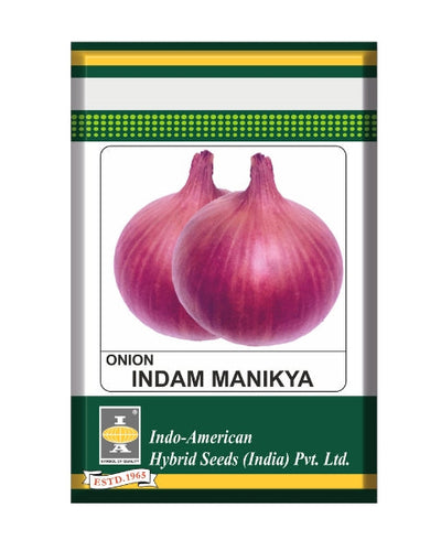 Indam Manikya Onion Seeds