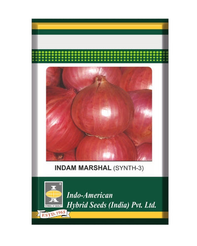 Indam Marshal Onion Seeds