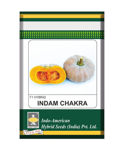 Indam Chakra Pumpkin Seeds