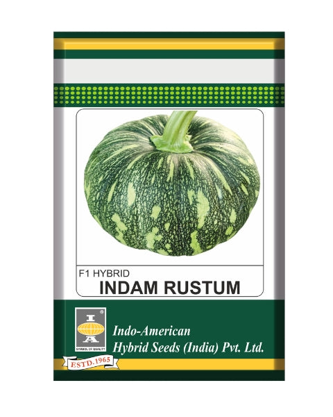 Indam Rustum Pumpkin Seeds