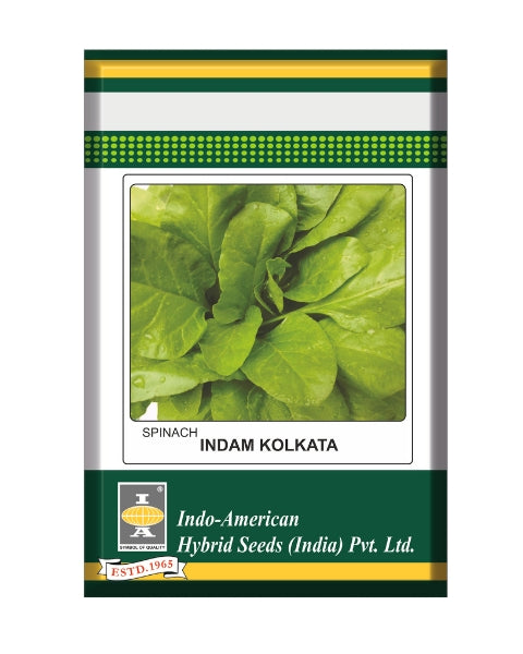 Indam Kolkata Spinach Seeds