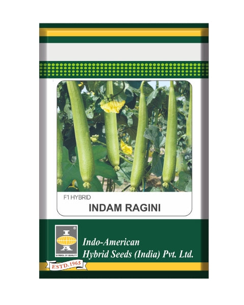 Indam Ragini Spongegourd Seeds