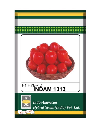 Indam 1313 Tomato Seeds