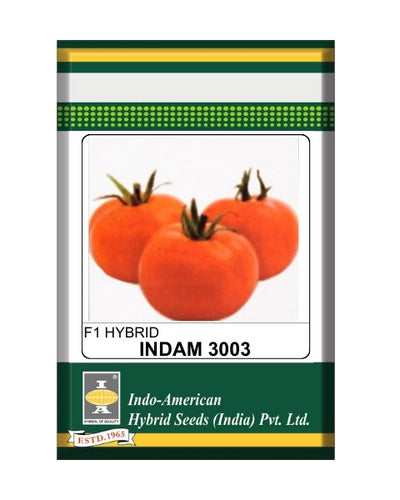 Indam 3003 Tomato Seeds