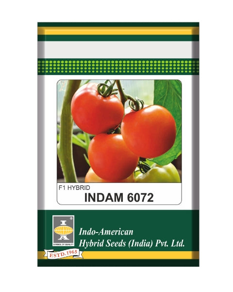 Indam 6072 Tomato Seeds