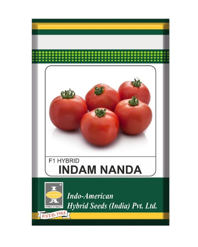 Indam Nanda Tomato Seeds