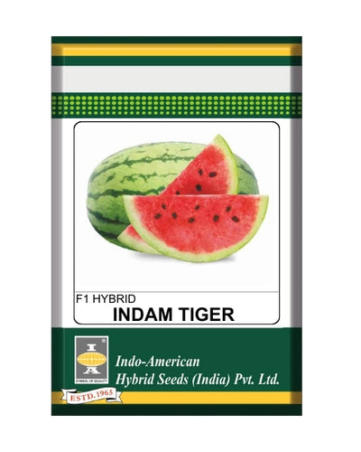 Indam Tiger Watermelon Seeds