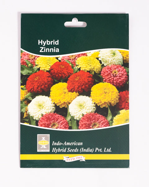 IAHS ZINNIA ZAHARA DOUBLE MIX