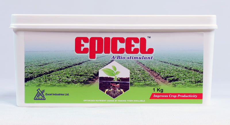 EXCEL EPICEL