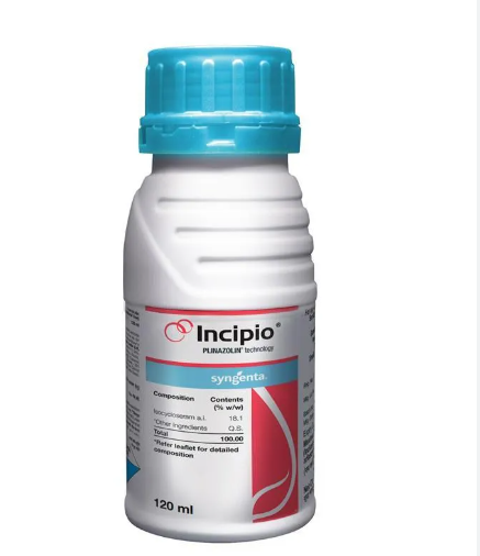 Incipio Insecticide