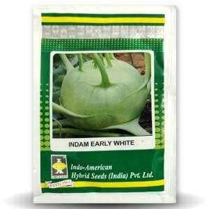 INDAM EARLY WHITE KNOL KHOL SEEDS