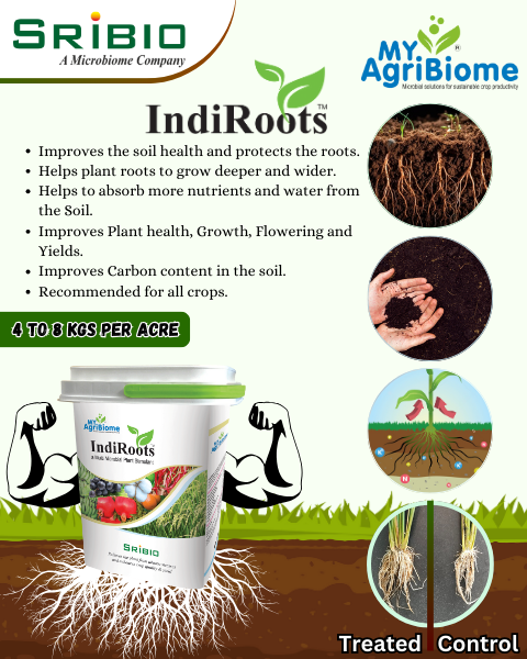 SRI BIO INDIROOTS