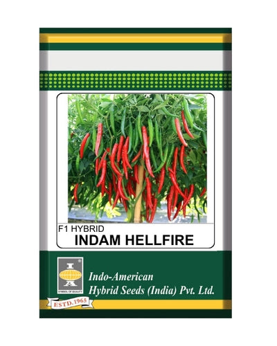 Indam Hellfire Chilli Seeds